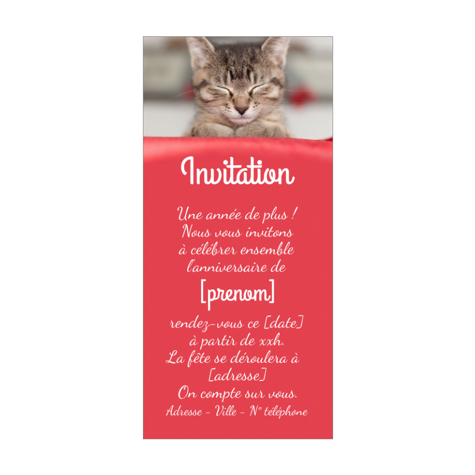 Carte Invitation Anniversaire Chat Rouge Animaux Gratuit A Imprimer Carte 1248