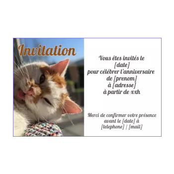 carte invitation anniversaire humour chat blanc marron 