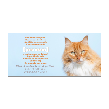 Carte Joyeux Anniversaire Fraise Chat Enfant Gratuit A Imprimer Carte 2116