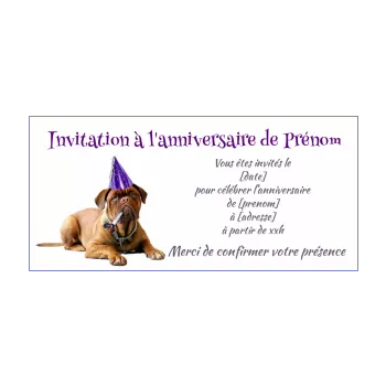 carte invitation anniversaire humour chien mauve animaux 