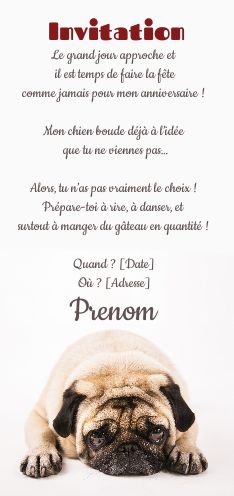 Invitation Anniversaire Humour Chien Blanc virtuelle gratuit