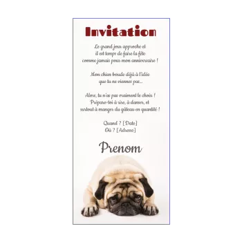 invitation anniversaire humour chien blanc animaux 