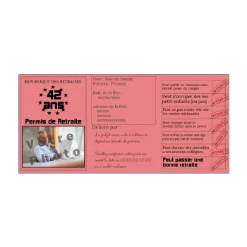 carte invitation retraite permis de conduire fete humour rose 