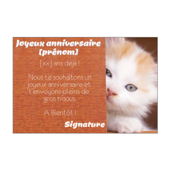 Carte Invitation Anniversaire Chat Enfant Marron Gratuit A Imprimer Carte 72