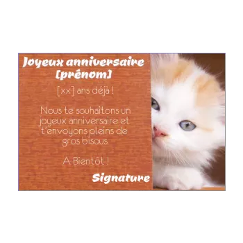 carte joyeux anniversaire chat enfant marron animaux 
