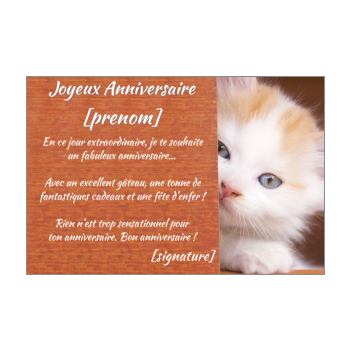 Carte D Anniversaire Chat A Imprimer Gratuit Ou A Envoyer En Ligne