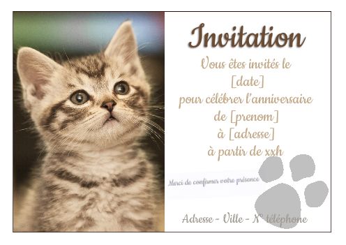 Carte Invitation Anniversaire Chat Blanc Animaux Gratuit A Imprimer Carte 31