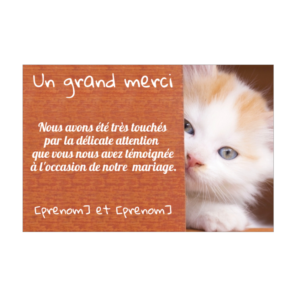 Carte Remerciement Mariage Chat Merci Marron Gratuit A Imprimer Carte 531