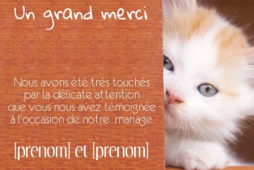Remerciement Mariage Chat Merci à imprimer