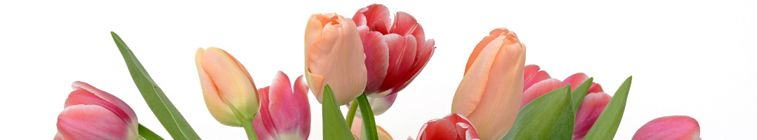 Carte Bonne Fête à Imprimer